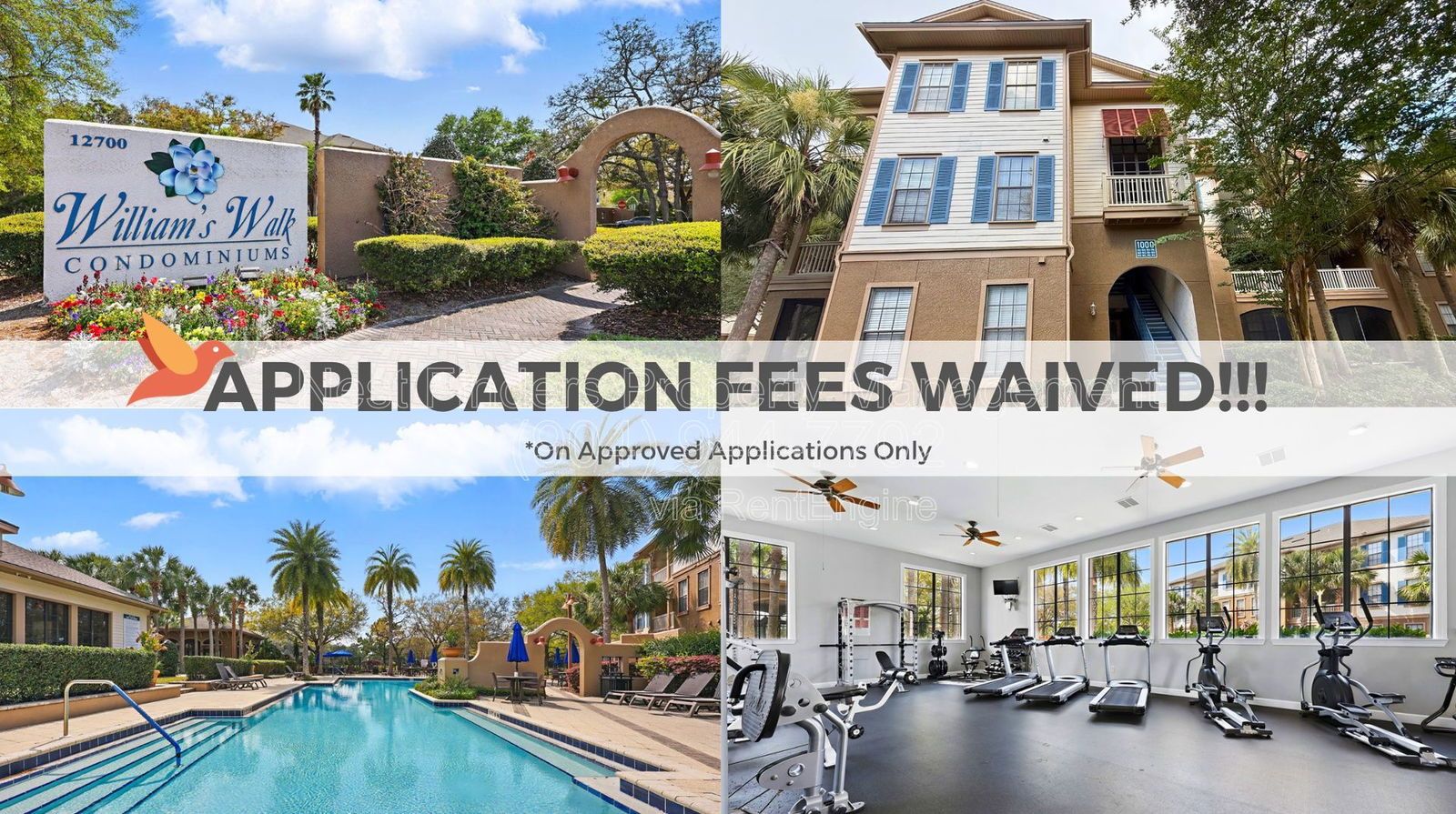 Luxury 1 Bedroom Condo in Bartram Park – Williams Walk! property image