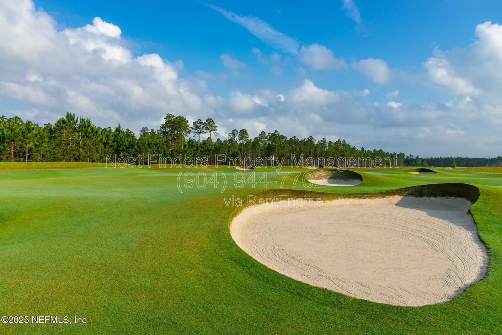 BRAND-NEW, 3-bedroom, 2-bath PLUS flex space/office is located in the resort-style 55+ gated community of Stillwater. property image