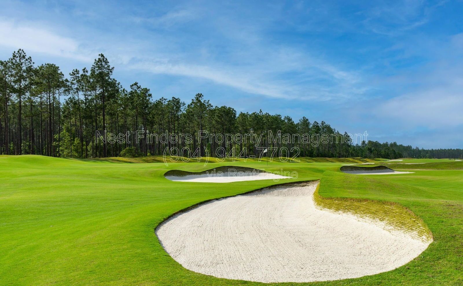 BRAND-NEW, 3-bedroom, 2-bath PLUS flex space/office is located in the resort-style 55+ gated community of Stillwater. property image