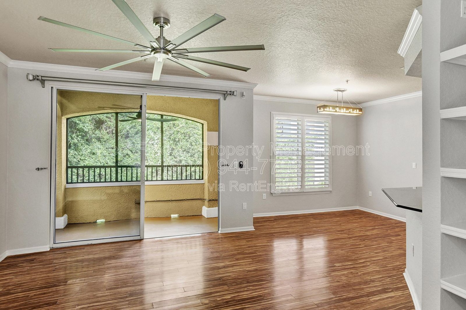 Newly remodeled, one-of-a-kind 