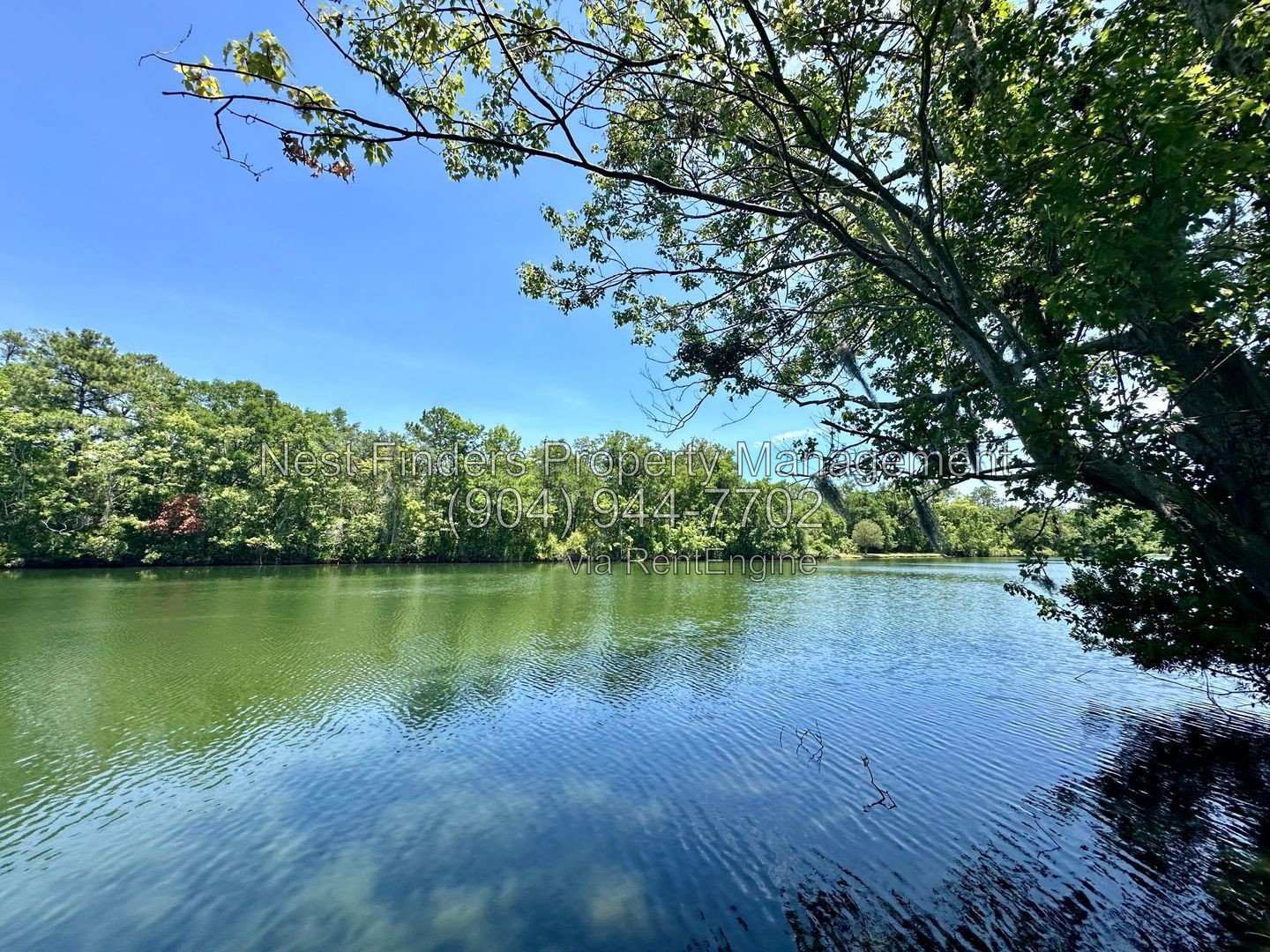 Charming, 3 bedroom / 2 bathroom home located on Spring fed lake with a dock! property image