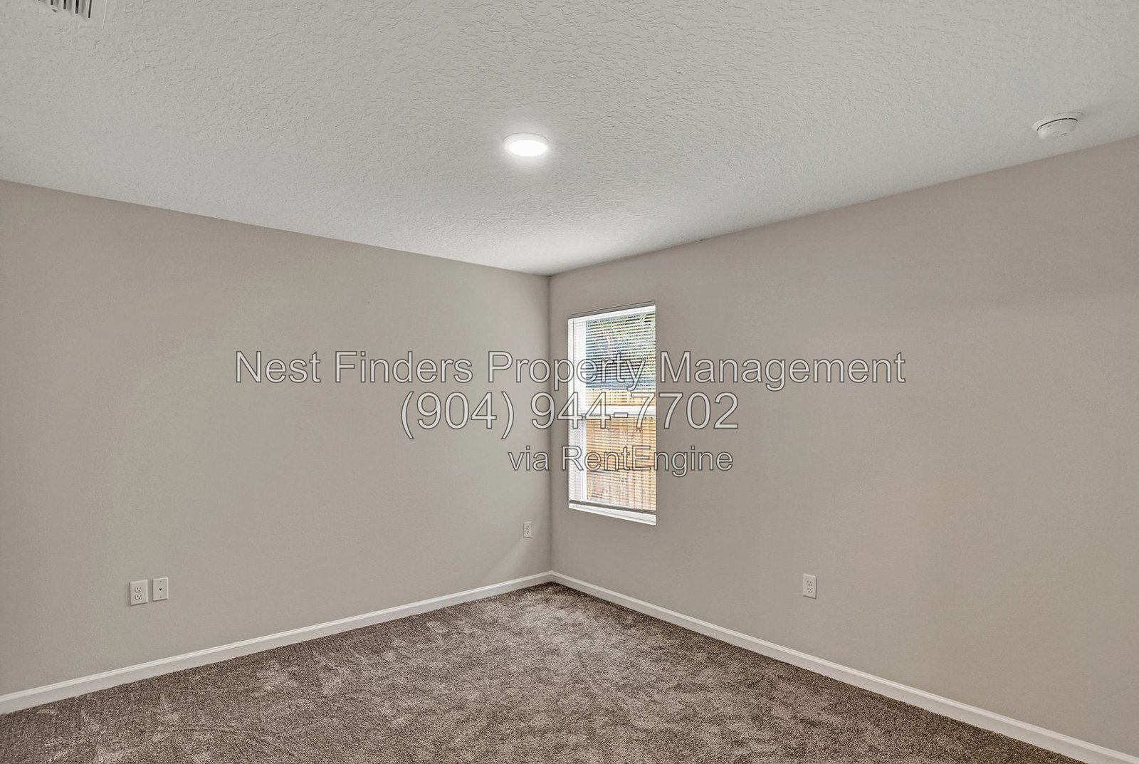 Beautiful brand-new 4-bedroom, 2.5-bathroom home available for rent! property image