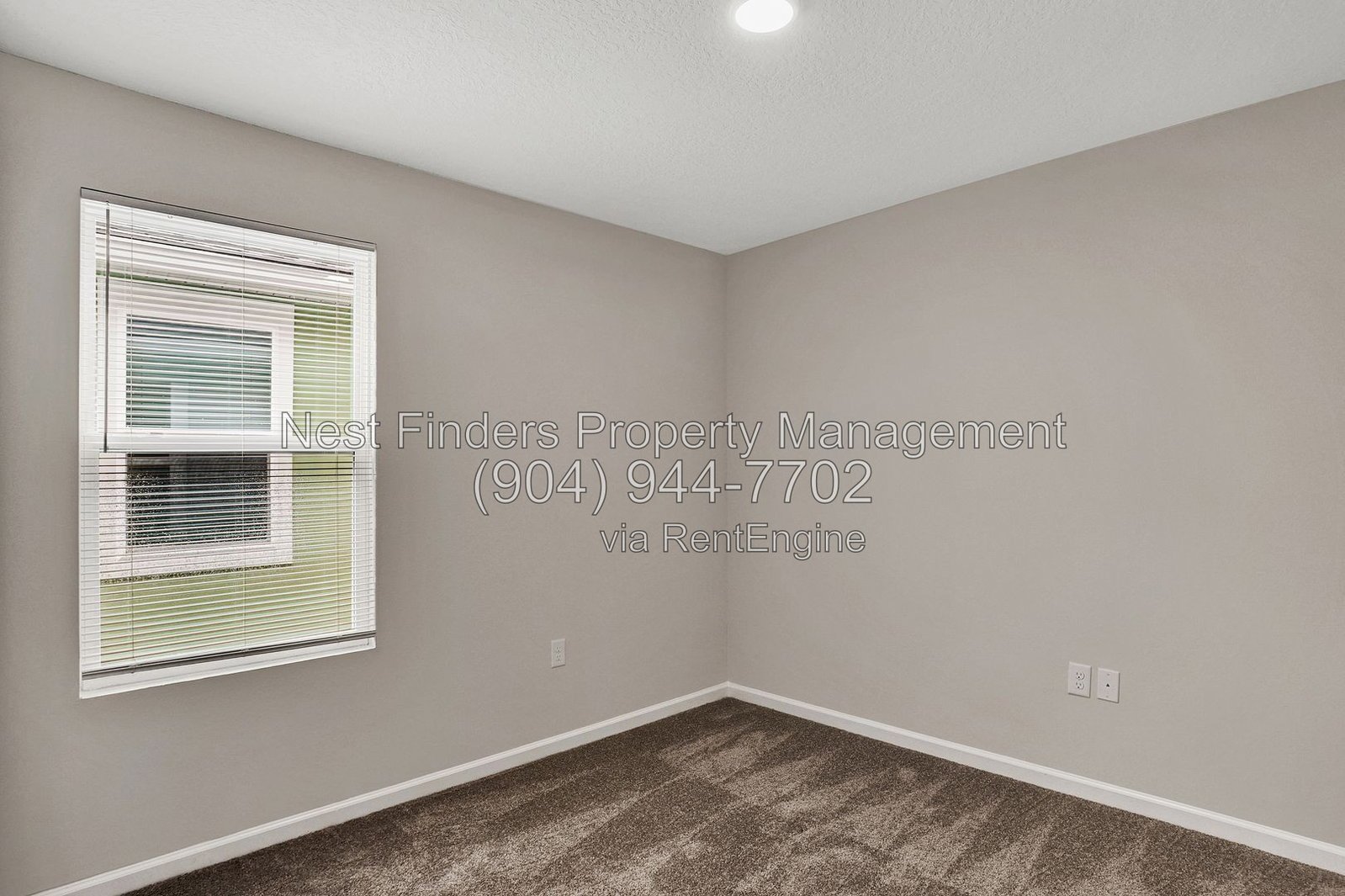 Beautiful brand-new 4-bedroom, 2.5-bathroom home available for rent! property image