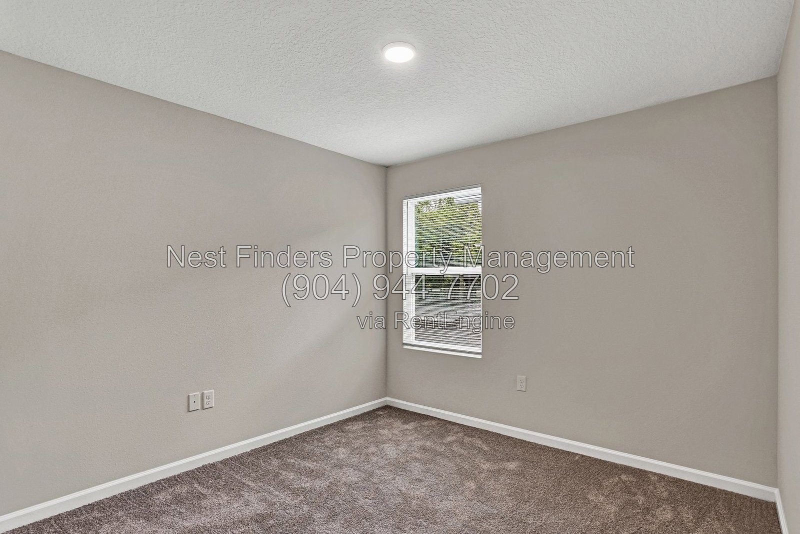 Beautiful brand-new 4-bedroom, 2.5-bathroom home available for rent! property image