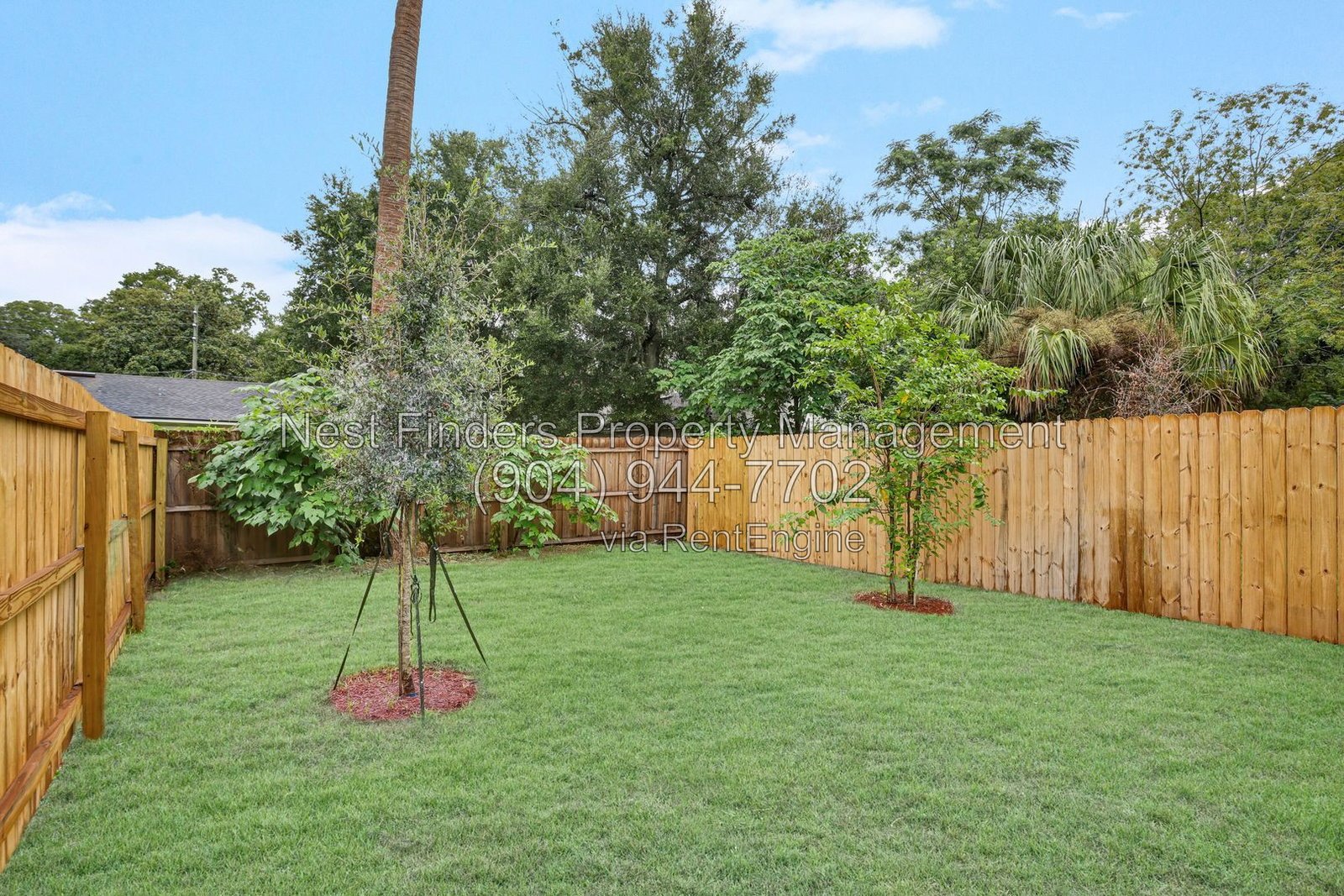 Beautiful brand-new 4-bedroom, 2.5-bathroom home available for rent! property image